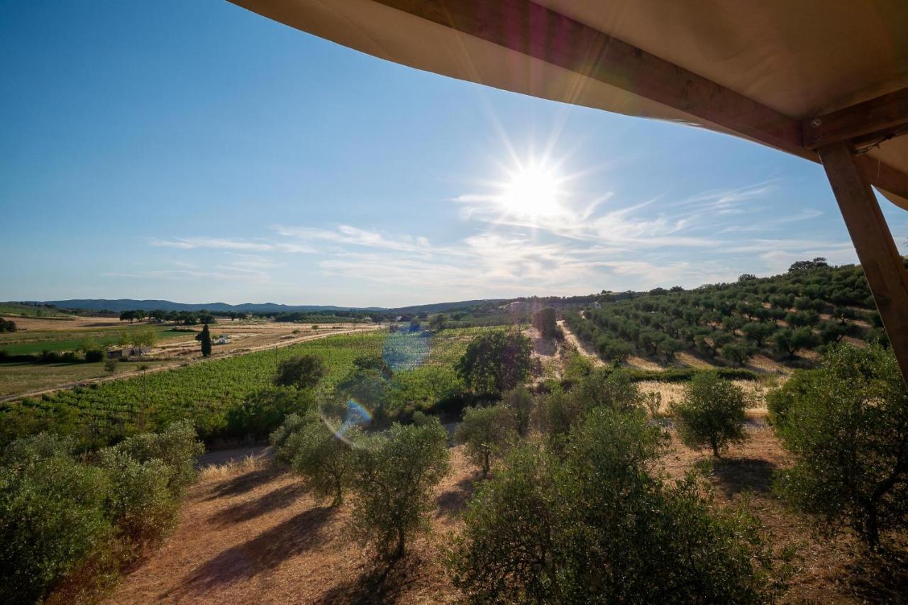 Glamping Podere San Jacopo Massa Marittima Eksteriør bilde