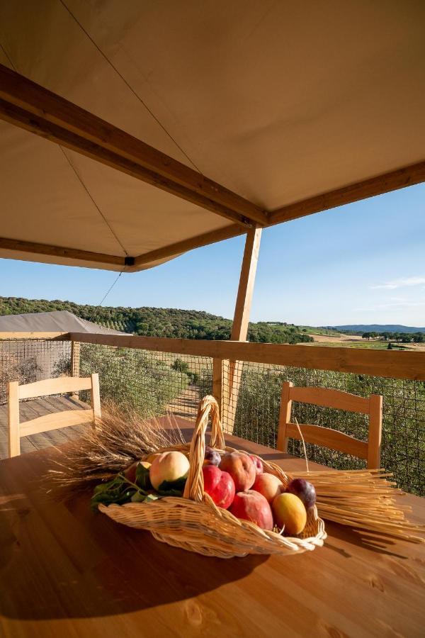 Glamping Podere San Jacopo Massa Marittima Eksteriør bilde