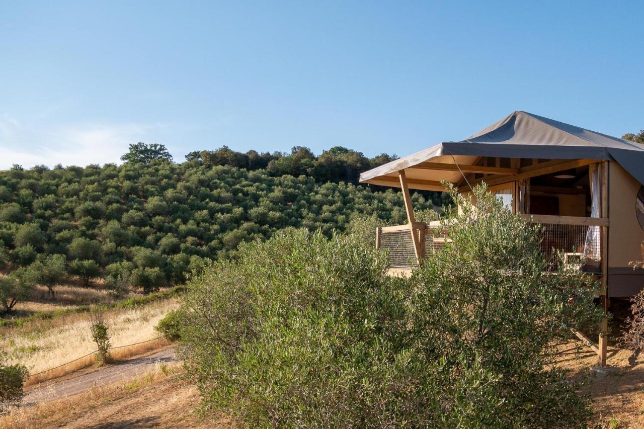 Glamping Podere San Jacopo Massa Marittima Eksteriør bilde