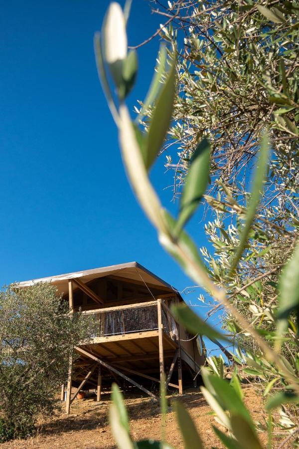 Glamping Podere San Jacopo Massa Marittima Eksteriør bilde